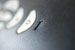 Projektor projectiondesign F10 1080