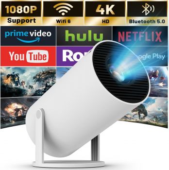 Image Maypug HY300